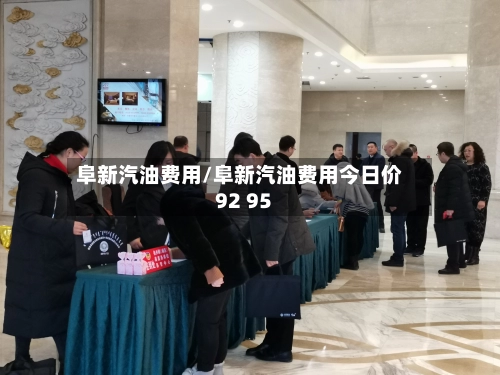 阜新汽油费用/阜新汽油费用今日价92 95