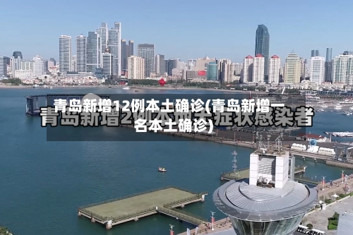 青岛新增12例本土确诊(青岛新增一名本土确诊)