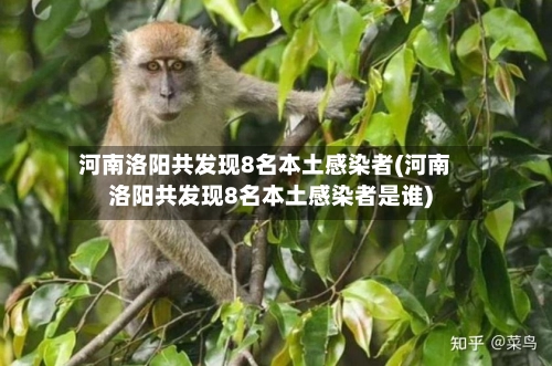 河南洛阳共发现8名本土感染者(河南洛阳共发现8名本土感染者是谁)-第3张图片