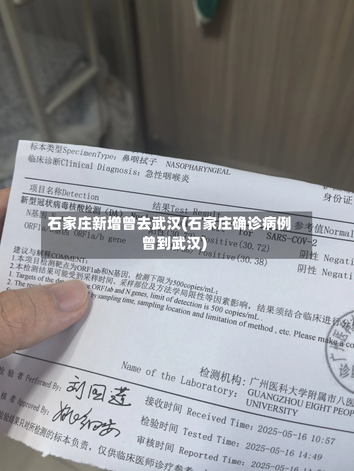 石家庄新增曾去武汉(石家庄确诊病例曾到武汉)