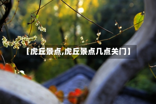 【虎丘景点,虎丘景点几点关门】