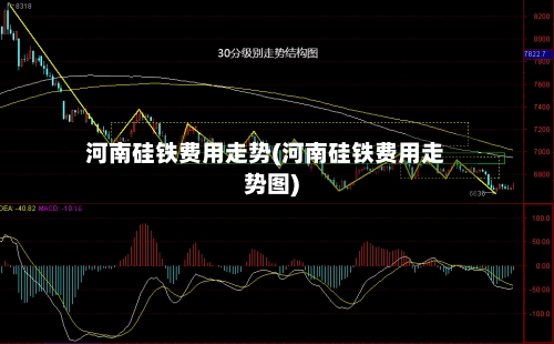 河南硅铁费用走势(河南硅铁费用走势图)