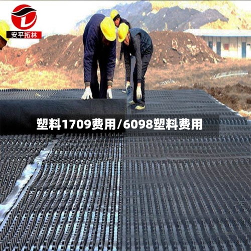塑料1709费用/6098塑料费用