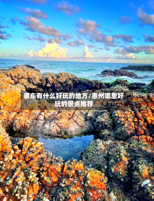 惠东有什么好玩的地方/惠州哪里好玩的景点推荐