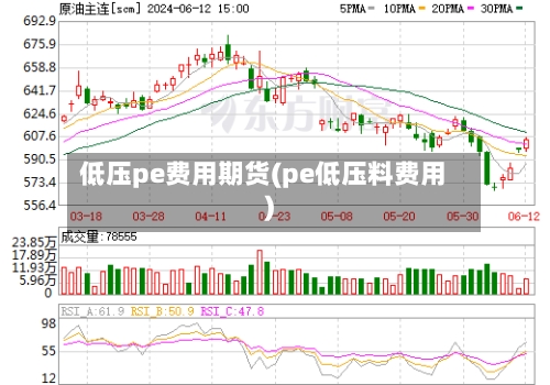 低压pe费用期货(pe低压料费用)