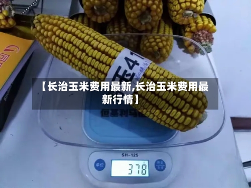 【长治玉米费用最新,长治玉米费用最新行情】
