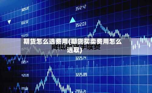 期货怎么选费用(期货买卖费用怎么选取)