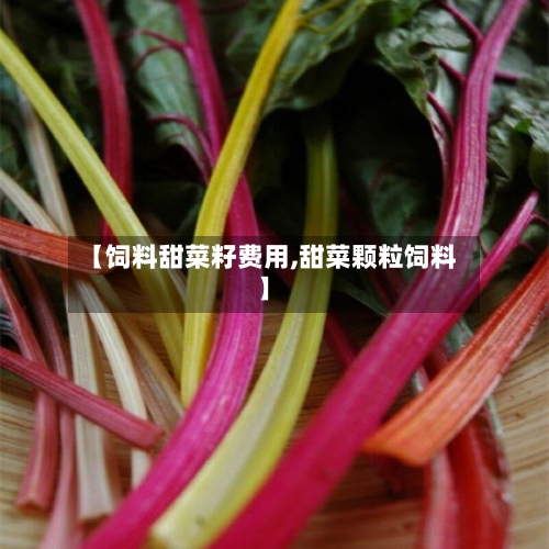 【饲料甜菜籽费用,甜菜颗粒饲料】-第2张图片