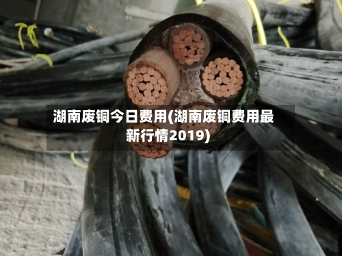 湖南废铜今日费用(湖南废铜费用最新行情2019)