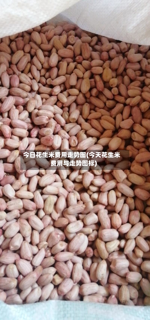 今日花生米费用走势图(今天花生米费用与走势图标)-第2张图片