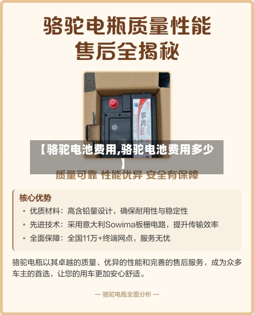 【骆驼电池费用,骆驼电池费用多少】-第2张图片