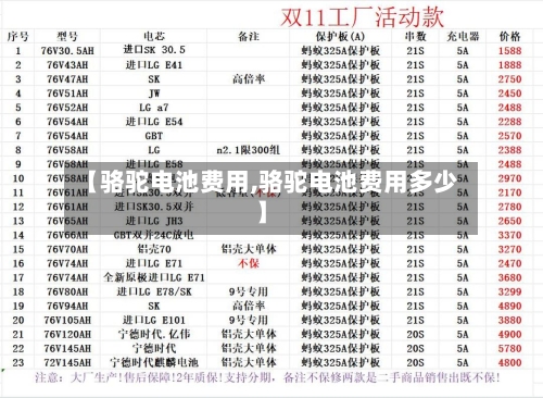 【骆驼电池费用,骆驼电池费用多少】-第3张图片