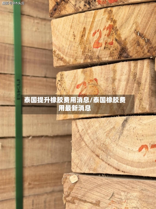 泰国提升橡胶费用消息/泰国橡胶费用最新消息-第2张图片