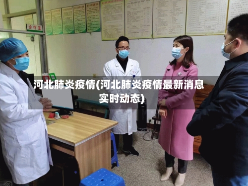 河北肺炎疫情(河北肺炎疫情最新消息实时动态)-第2张图片
