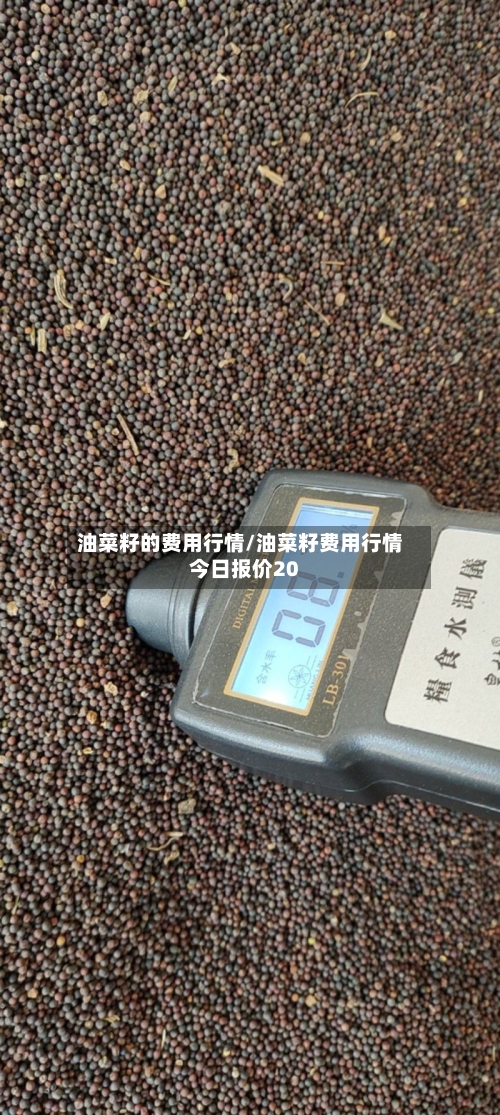 油菜籽的费用行情/油菜籽费用行情今日报价20-第2张图片