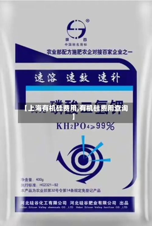 【上海有机硅费用,有机硅费用查询】-第2张图片