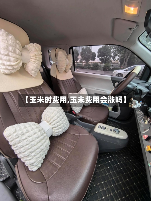 【玉米时费用,玉米费用会涨吗】-第2张图片