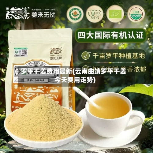 罗平干姜费用最新(云南曲靖罗平干姜今天费用走势)-第2张图片