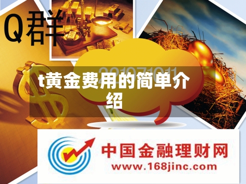 t黄金费用的简单介绍-第2张图片