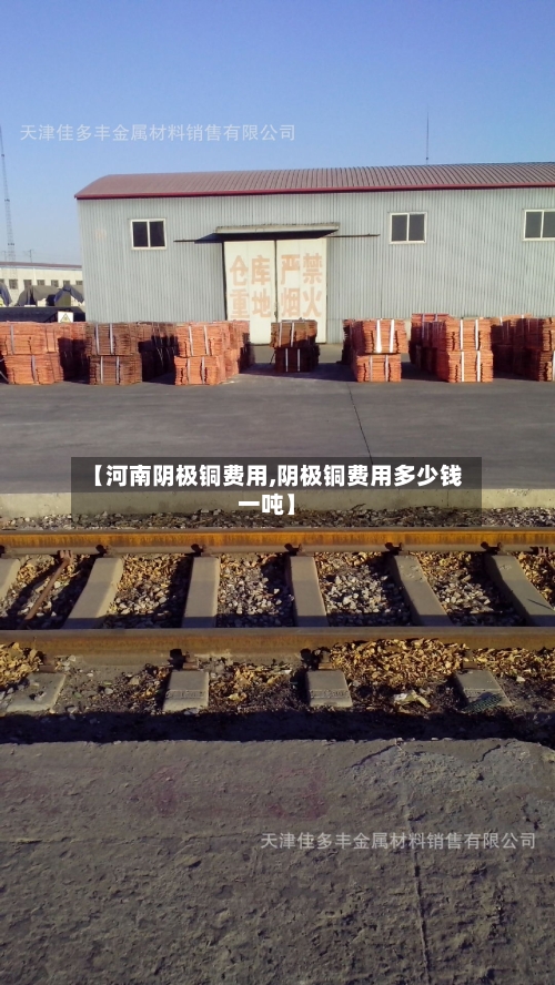 【河南阴极铜费用,阴极铜费用多少钱一吨】-第3张图片