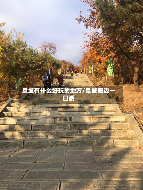 阜城有什么好玩的地方/阜城周边一日游