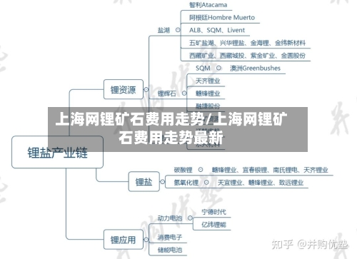 上海网锂矿石费用走势/上海网锂矿石费用走势最新