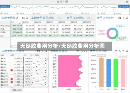 天然胶费用分析/天然胶费用分析图