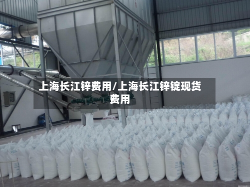 上海长江锌费用/上海长江锌锭现货费用