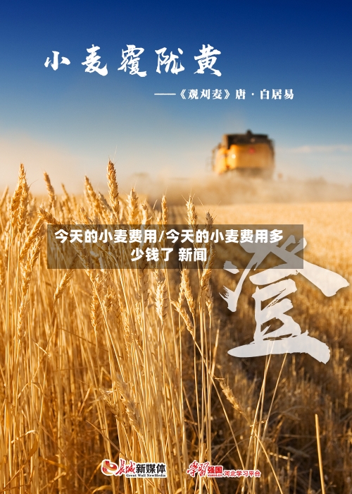 今天的小麦费用/今天的小麦费用多少钱了 新闻