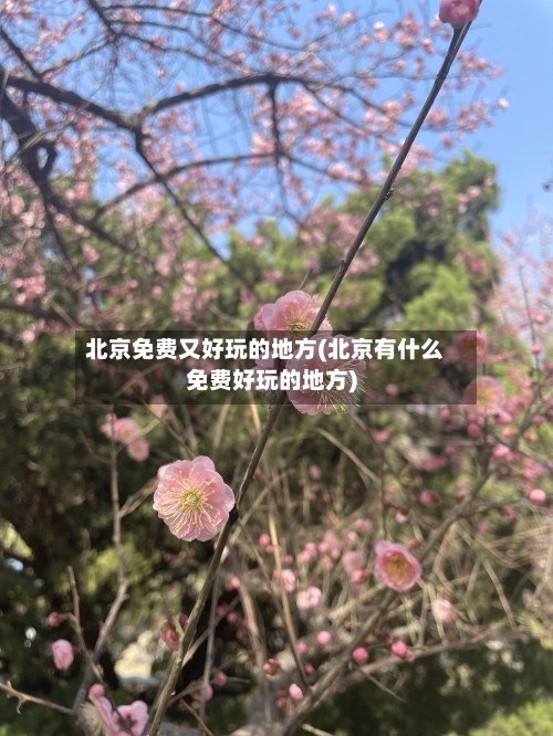 北京免费又好玩的地方(北京有什么免费好玩的地方)-第2张图片