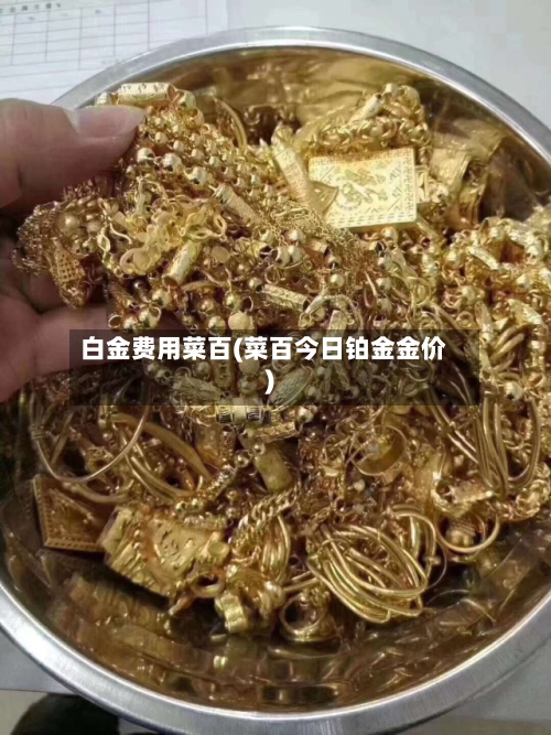 白金费用菜百(菜百今日铂金金价)