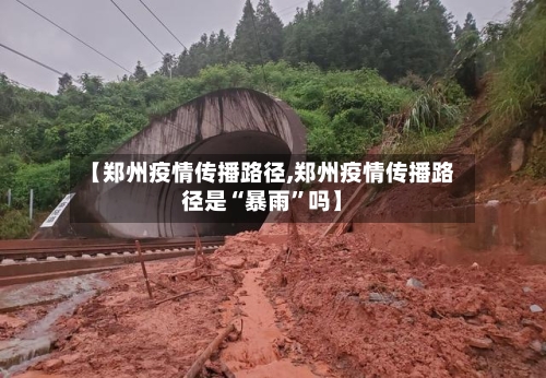 【郑州疫情传播路径,郑州疫情传播路径是“暴雨”吗】-第3张图片