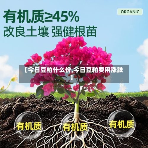 【今日豆粕什么价,今日豆粕费用涨跌】-第3张图片