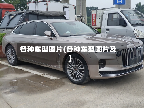 各种车型图片(各种车型图片及)