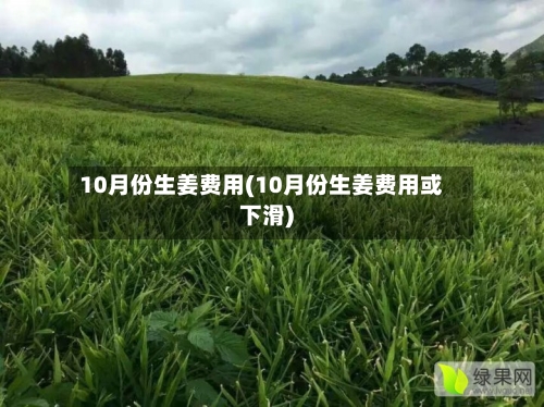 10月份生姜费用(10月份生姜费用或下滑)-第3张图片