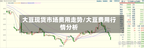 大豆现货市场费用走势/大豆费用行情分析