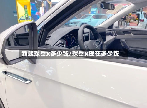 新款探岳x多少钱/探岳x现在多少钱-第2张图片
