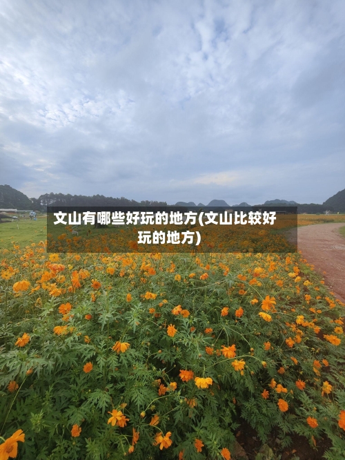 文山有哪些好玩的地方(文山比较好玩的地方)-第2张图片
