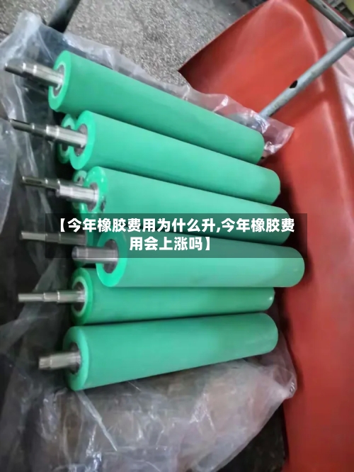 【今年橡胶费用为什么升,今年橡胶费用会上涨吗】-第3张图片