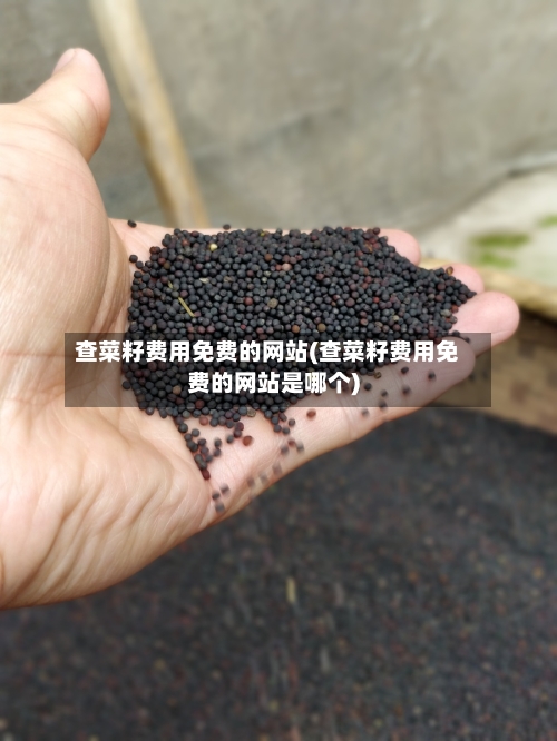 查菜籽费用免费的网站(查菜籽费用免费的网站是哪个)-第3张图片