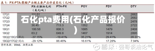 石化pta费用(石化产品报价)-第2张图片