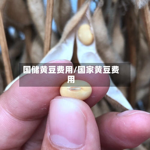 国储黄豆费用/国家黄豆费用-第2张图片