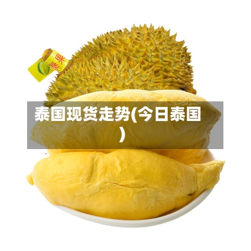 泰国现货走势(今日泰国)