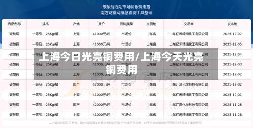 上海今日光亮铜费用/上海今天光亮铜费用