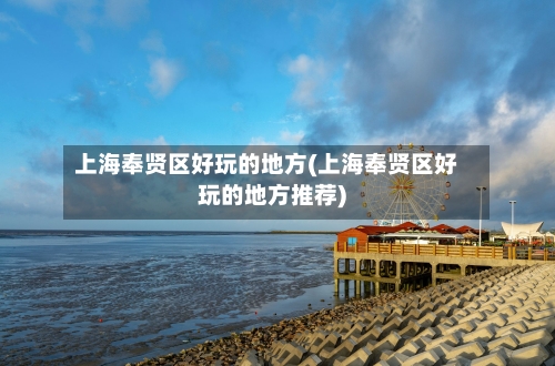 上海奉贤区好玩的地方(上海奉贤区好玩的地方推荐)