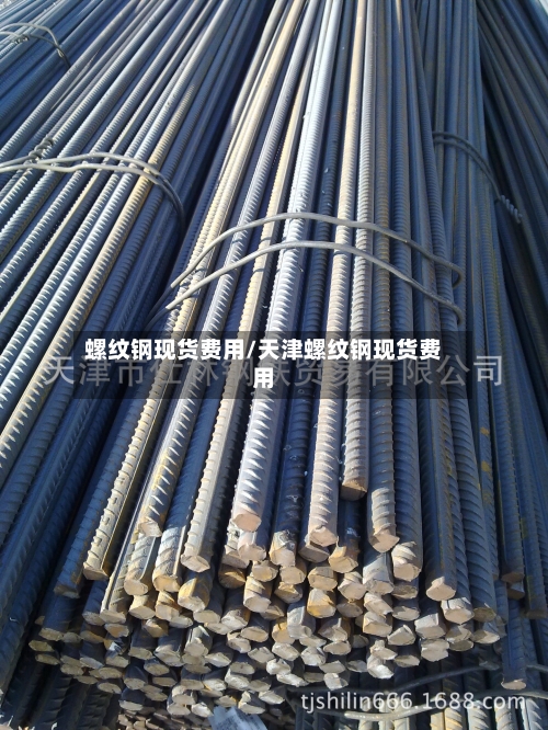 螺纹钢现货费用/天津螺纹钢现货费用-第2张图片