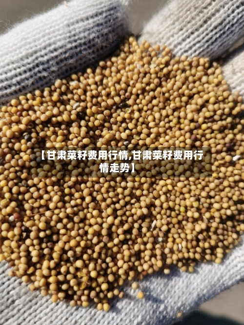【甘肃菜籽费用行情,甘肃菜籽费用行情走势】-第2张图片