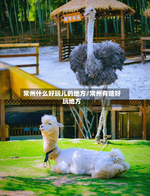 常州什么好玩儿的地方/常州有啥好玩地方-第2张图片