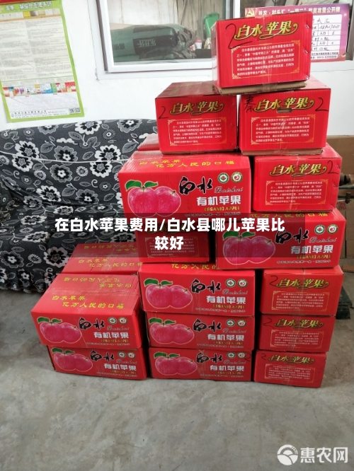 在白水苹果费用/白水县哪儿苹果比较好-第2张图片
