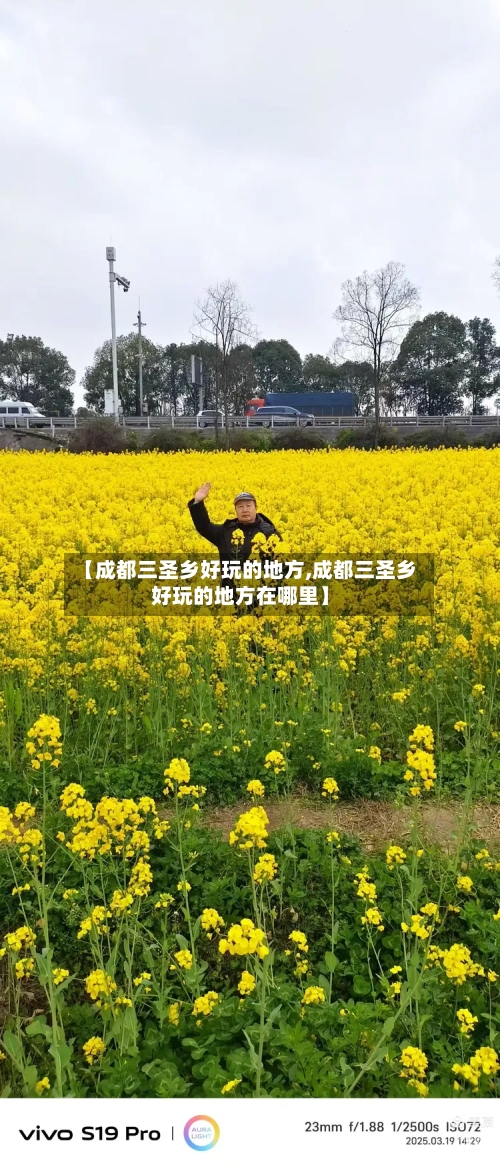 【成都三圣乡好玩的地方,成都三圣乡好玩的地方在哪里】